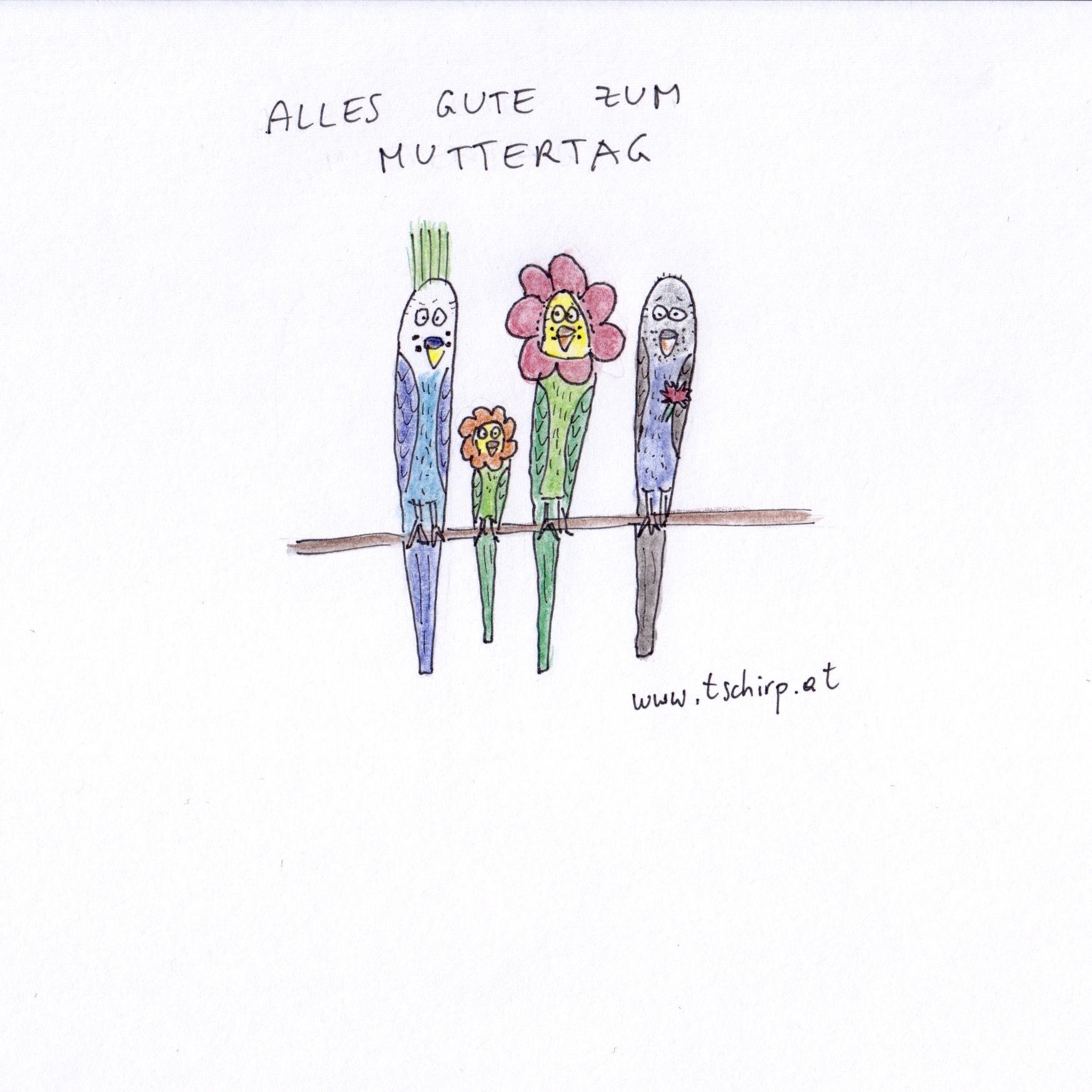 Muttertag, Cartoon, Cartoons, Comic, Comics, Wellensittich