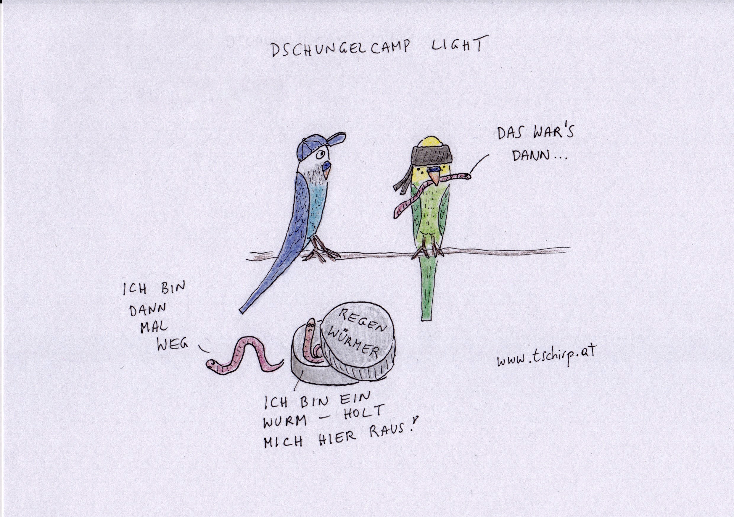 Wellensittiche, RTL, Dschungelcamp