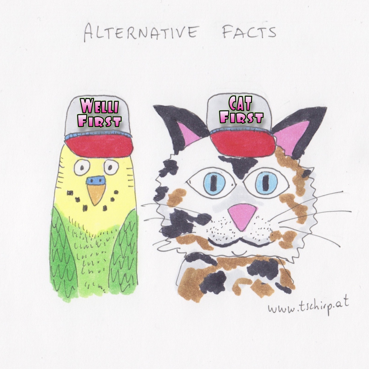 Alternative Facts, Wellensittich, Katzen, Trump, Falschmeldungen