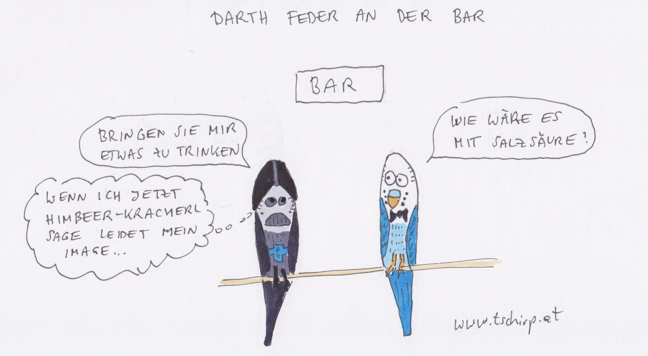 Darth Vader, Starwars, Star Wars, Darthvader, Wellensittich