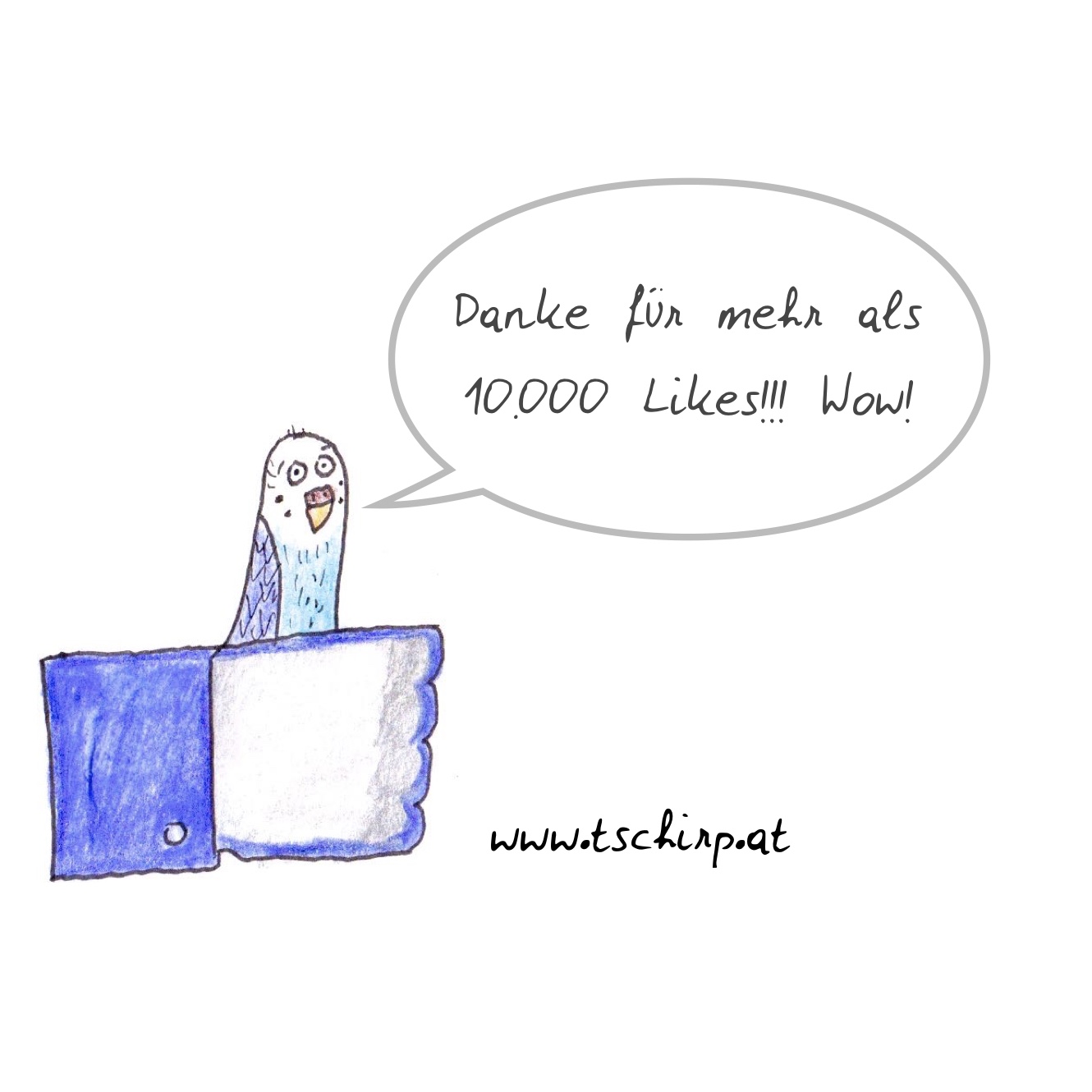 10000 likes, Facebook, Tschirp, Wellensittich